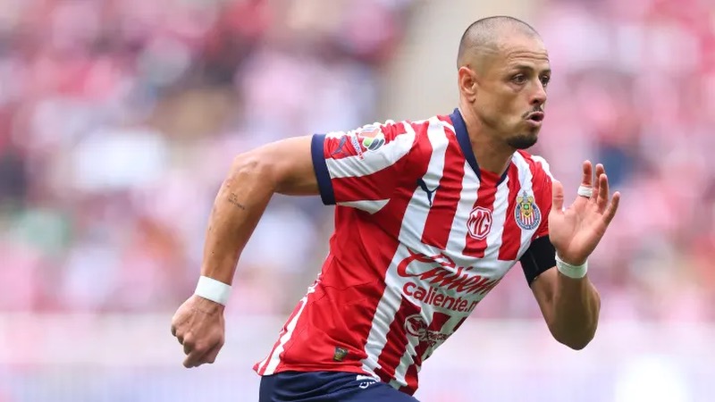 Cầu thủ Chicharito - Hạt đậu nhỏ và sự nghiệp đầy đáng tiếc